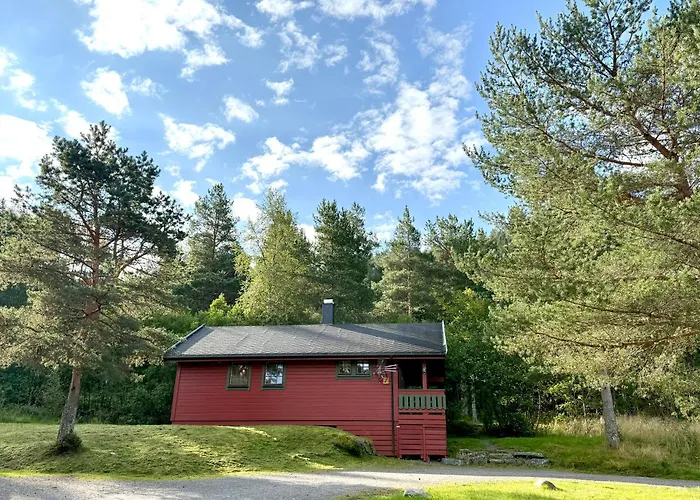 Sjoholt Camping *