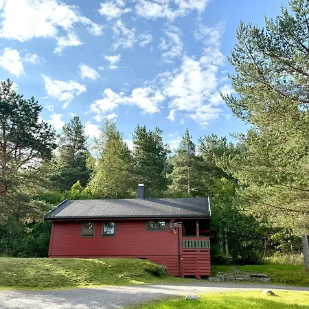 Sjøholt Camping *